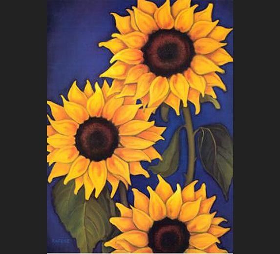 Unknown Sunflowers by Will Rafuse